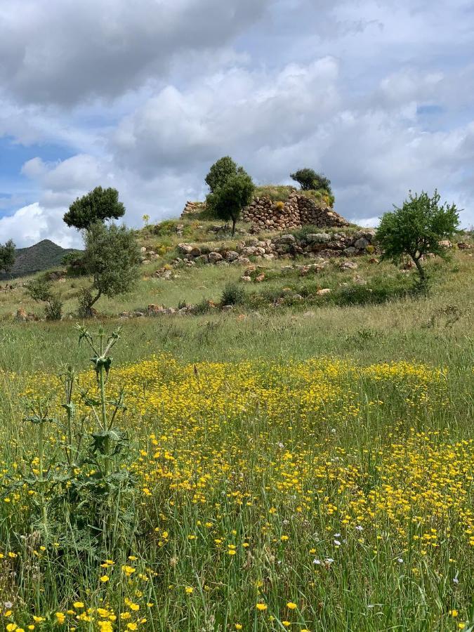 Appartamento Sa Domu Frisca Domusnovas Esterno foto